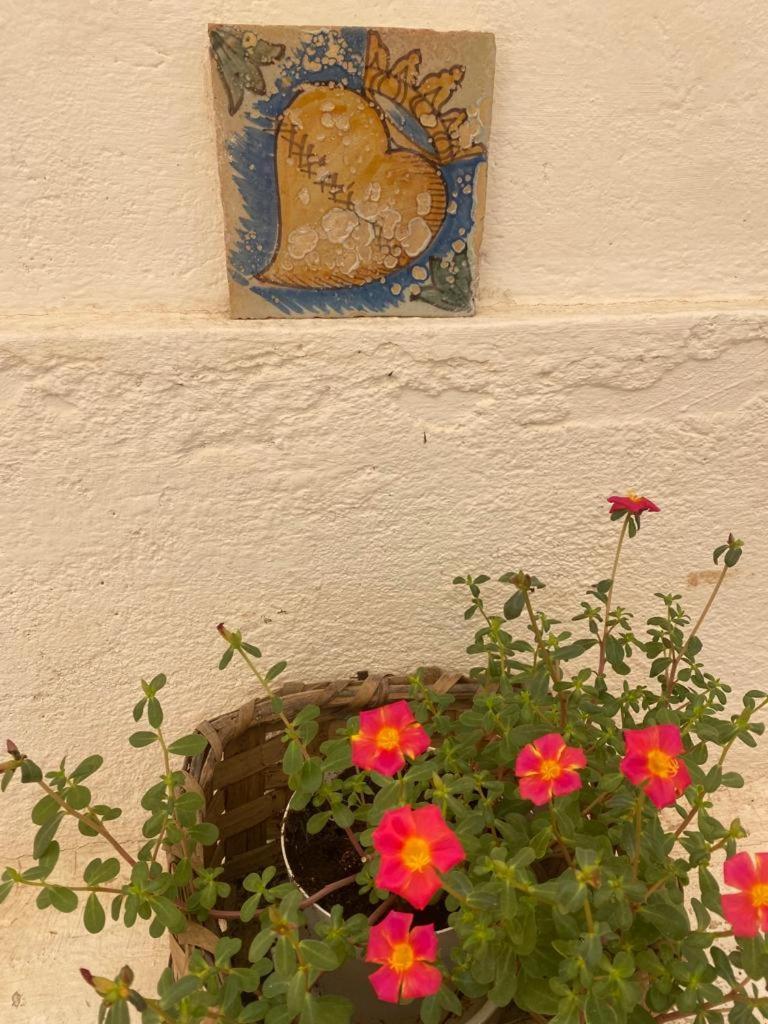 博瓦马里纳Don Ciccio Gh住宿加早餐旅馆 外观 照片